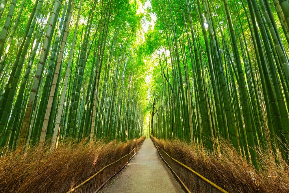 36 Hours in Kyoto - Discover a city awash with beauty in every corner ...